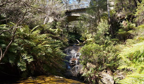 Leura Cascades Fern Bower - Hotel WA 3