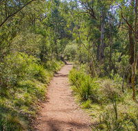 Mares Forest Creek walking track - Hotel WA