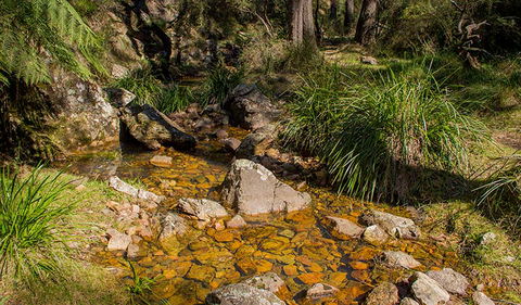 Wombeyan Waterfall Walking Track - Hotel WA 1