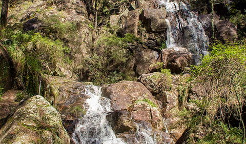 Wombeyan Waterfall Walking Track - Hotel WA 3