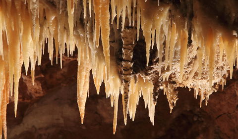 Wollondilly Cave - Hotel WA 1
