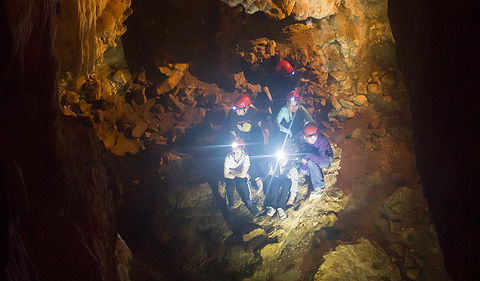 Dennings Labyrinth - Hotel WA 1