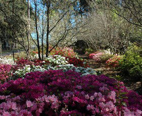 Wildwood Garden - Hotel WA 2