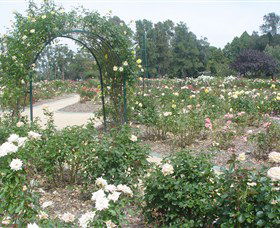 Victoria Park Rose Garden - Hotel WA 0