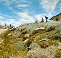 Mount Kosciuszko Summit walk - Hotel WA