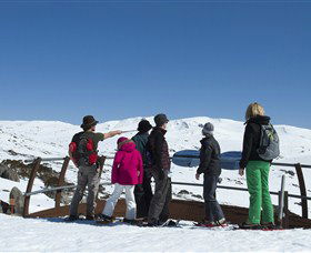 Charlotte Pass And Lookout - Hotel WA 1