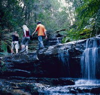 South Lawson Waterfall Circuit - Hotel WA