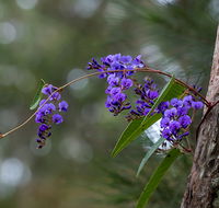 Mann River Nature Reserve - Hotel WA