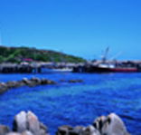 King Island Dairies - Hotel WA