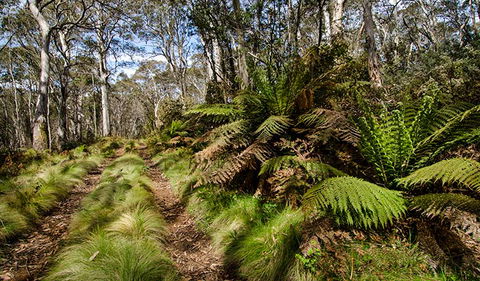Barrington Trail - Hotel WA 2