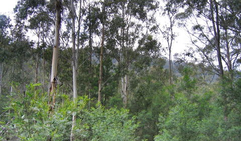 Bangadilly National Park - Hotel WA 1
