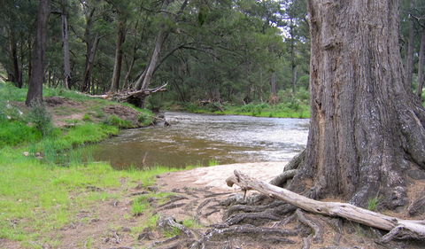 Bangadilly National Park - Hotel WA 3