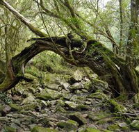 Mitchell River National Park - Hotel WA
