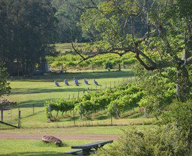 Wollombi Wines - Hotel WA 8