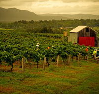 Around Hermitage Wine and Food Trail Hunter Valley - Hotel WA