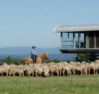 Tobruk Sydney - Hotel WA