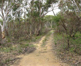 Box Vale Picnic Area - Hotel WA 4