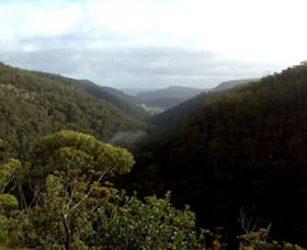 Nattai Gorge Lookout - Hotel WA 0