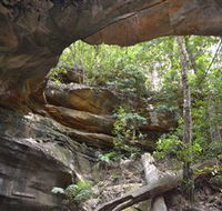 Cave Creek Walking Track - Hotel WA