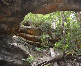 Cave Creek Walking Track - Hotel WA 0