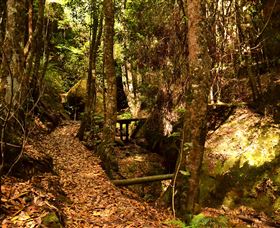 Cave Creek Walking Track - Hotel WA 2