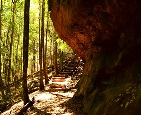 Cave Creek Walking Track - Hotel WA 1