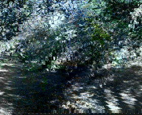 Cave Creek Walking Track - Hotel WA 3