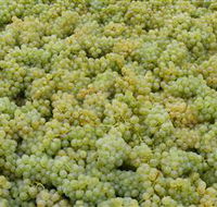 Normanby Wines - Hotel WA