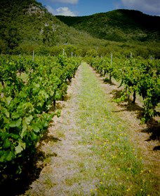 Gartelmann Wines - Hotel WA 0