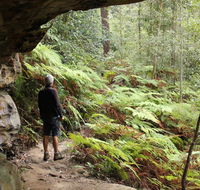Dharug National Park - Hotel WA