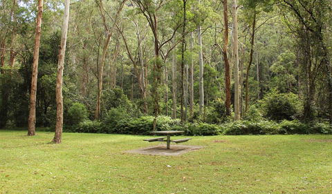 Dharug National Park - Hotel WA 3