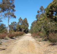 Werakata National Park - Hotel WA