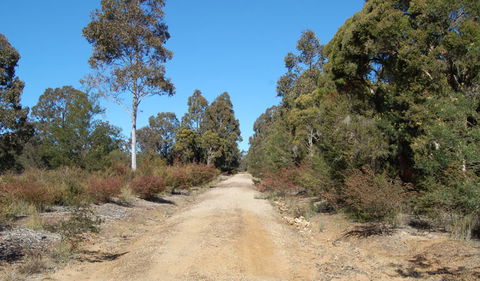 Werakata National Park - Hotel WA 0