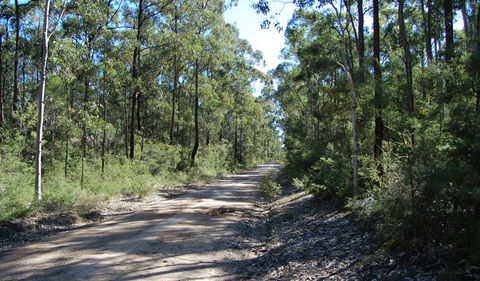 Werakata National Park - Hotel WA 2