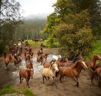 Glenworth Valley Horse Riding - Hotel WA