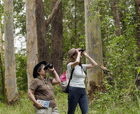 Chichester State Forest - Hotel WA 0