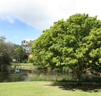 Hervey Bay Botanic Gardens - Hotel WA