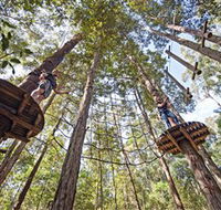 TreeTop Adventure Park Central Coast - Hotel WA