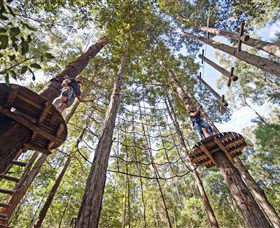 TreeTop Adventure Park Central Coast - Hotel WA 0