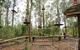 TreeTop Adventure Park Central Coast - thumb 5