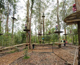 TreeTop Adventure Park Central Coast - Hotel WA 5