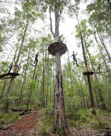 TreeTop Adventure Park Central Coast - Hotel WA 4