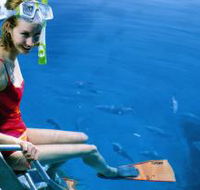 Roy Rufus Artificial Reef Dive Site - Hotel WA