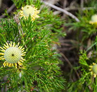Illawarra lookout walking track - Hotel WA