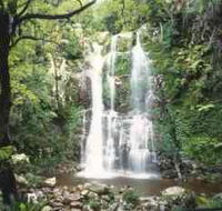 Budderoo National Park - The Falls Walk - Hotel WA
