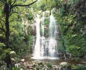 Budderoo National Park - The Falls Walk - Hotel WA 0