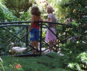 EG Waterhouse National Camellia Garden - Hotel WA 0