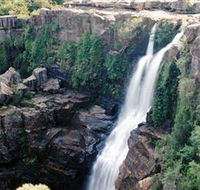 Minnamurra Rainforest Centre Budderoo National Park - Hotel WA