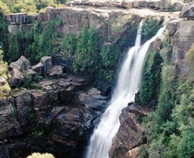 Minnamurra Rainforest Centre: Budderoo National Park - Hotel WA 0