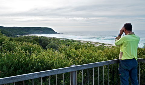 Tea Tree Picnic Area And Lookout - Hotel WA 2